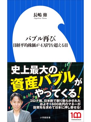 cover image of バブル再び　～日経平均株価が４万円を超える日～（小学館新書）